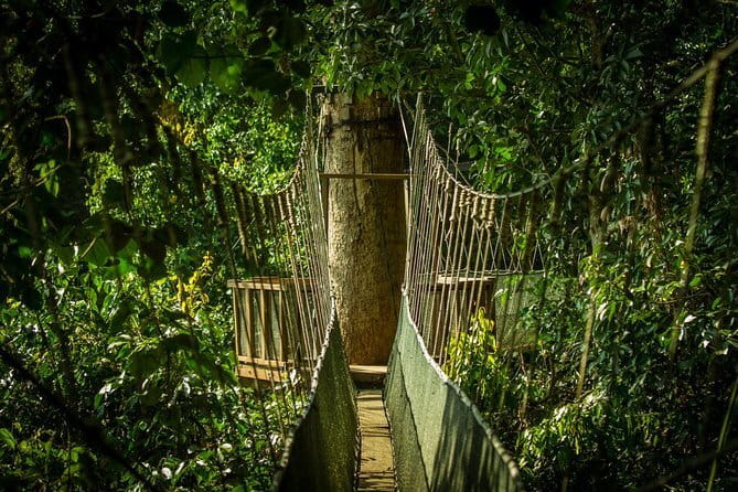 Kinabalu National Park Tour - From Kota Kinabalu to Sabah’s high country