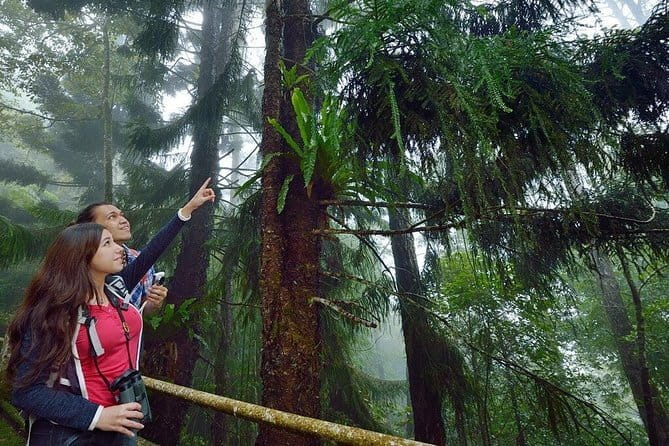 Kinabalu National Park Tour - Desa Dairy Farm and the cool Kundasang air