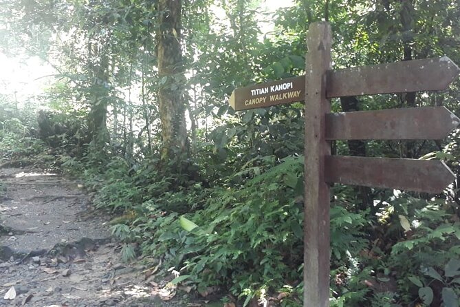 Kinabalu Park Day Trip - The Canopy Walk adds a more active stop