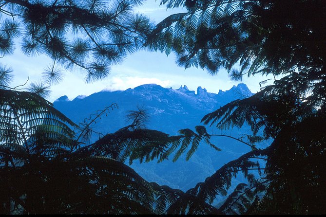 Kinabalu Park & Poring Hot Spring Tour - Desa Cattle Farm at about 9:30 a.m.