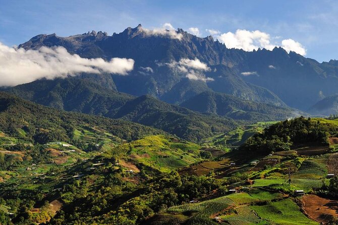 Kinabalu Park & Poring Hot Springs Tour with Desa Dairy Farm - Desa Dairy Farm and the view toward Mount Kinabalu