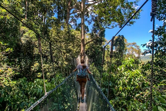 Kinabalu Park & Poring Hot Springs Tour with Desa Dairy Farm - What the $125.51 price really covers