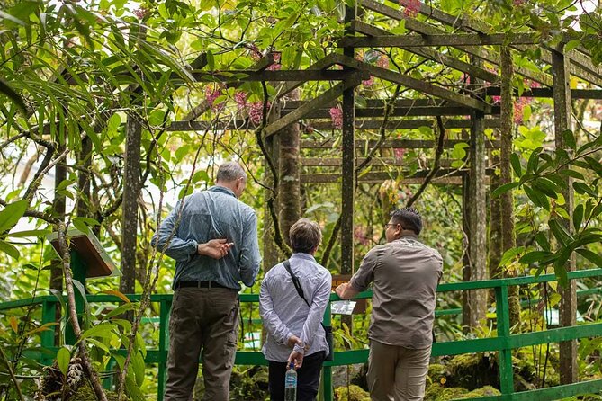 Kinabalu Park & Poring Hot Springs Tour with Desa Dairy Farm - Nabalu Market, a 20-minute taste of local life