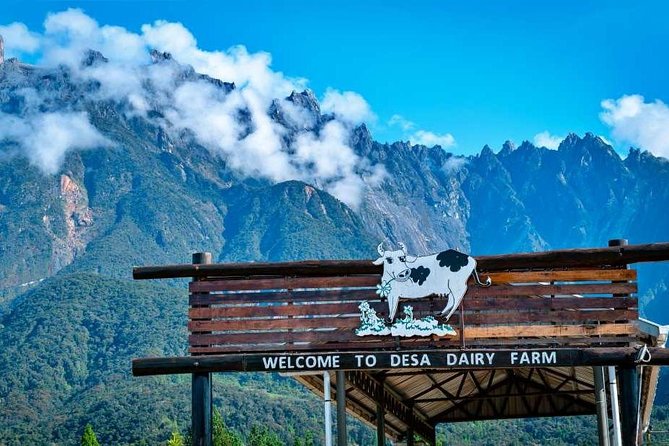 Kinabalu Park With Rumah Terbalik & Desa Cow Farm - Key points at a glance