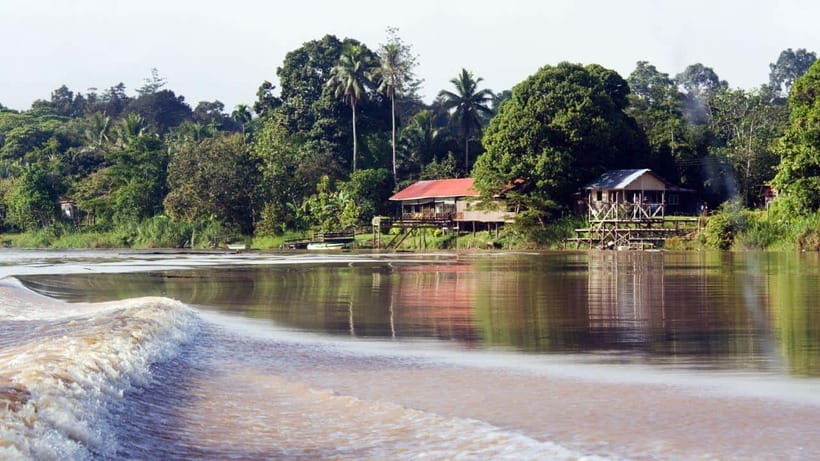Kinabatangan River Trip from Sandakan with Lunch Included - Who will enjoy this day most