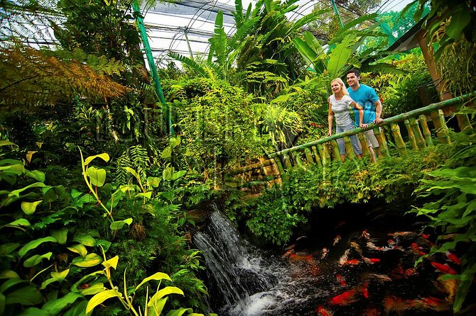 KL Butterfly Park Admission with Kuala Lumpur Famous Landmarks - Sultan Abdul Samad Building and the old city