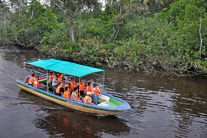 Klias Wildlife Safari River Cruise - Proboscis Monkey & Fireflies - Dinner at the river lodge