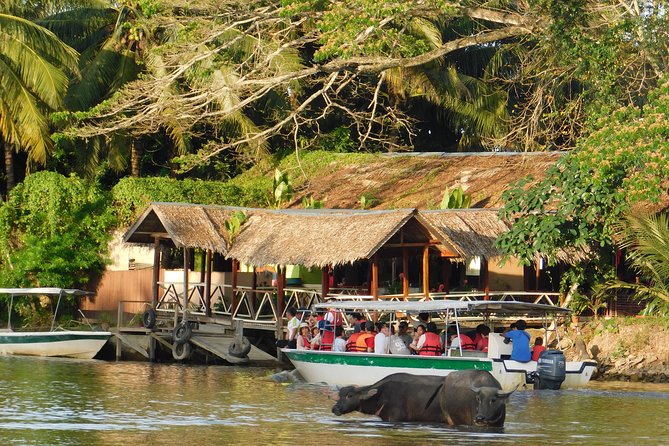 Klias Wildlife Safari River Cruise - Proboscis Monkey & Fireflies - The first cruise: proboscis monkeys and village life