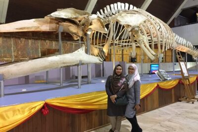 Kota Kinabalu City Day Tour & Filipino Market Shopping
