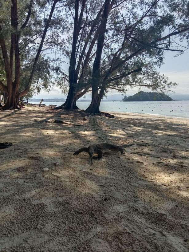 Kota Kinabalu: Manukan & Sapi Islands Snorkeling with Lunch - The day at a glance