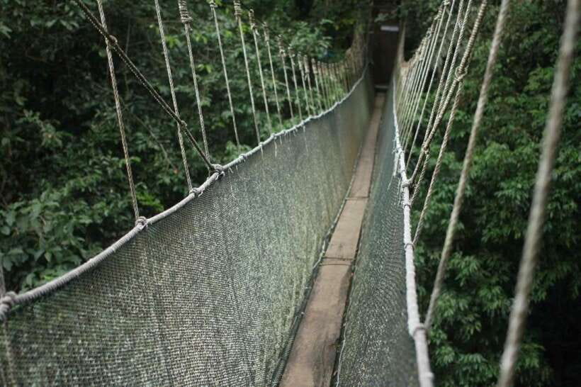 Kota Kinabalu: Private Kundasang and Poring Hot Spring Tour - Key points to know before booking