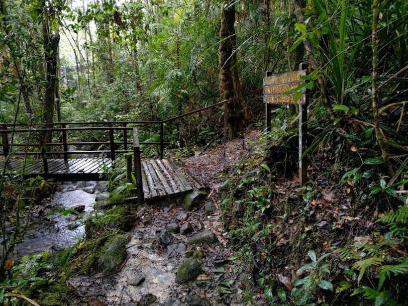 Kota Kinabalu: Private Kundasang and Poring Hot Spring Tour - Kinabalu Park and the Botanical Garden