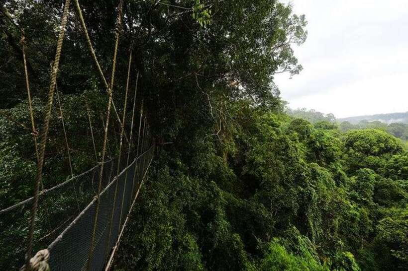 Kota Kinabalu: Private Kundasang and Poring Hot Spring Tour - Is the $118 price fair?