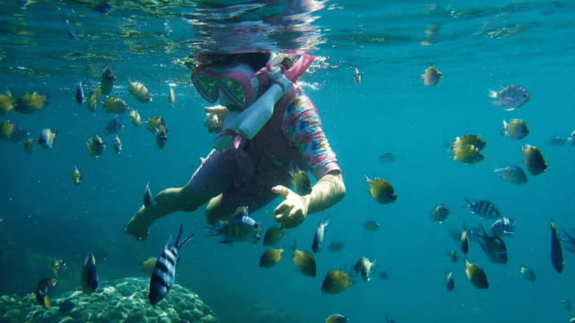 Kota Kinabalu : Snorkeling at Ara Dinawan Private Island - The one-hour snorkeling session