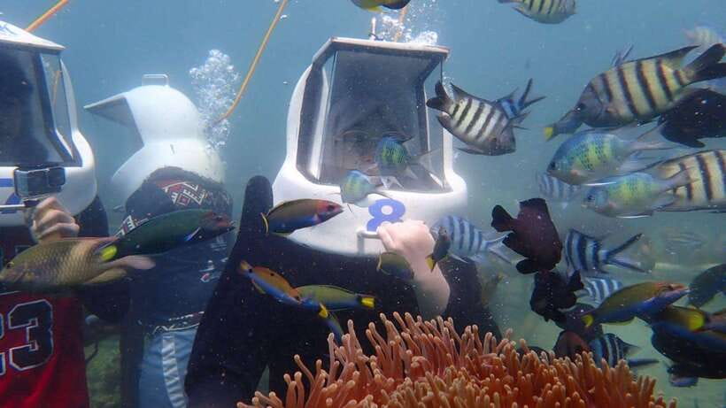 Kota Kinabalu: Snorkeling & Island Hopping Sapi & Manukan - Buffet lunch on Sapi Island