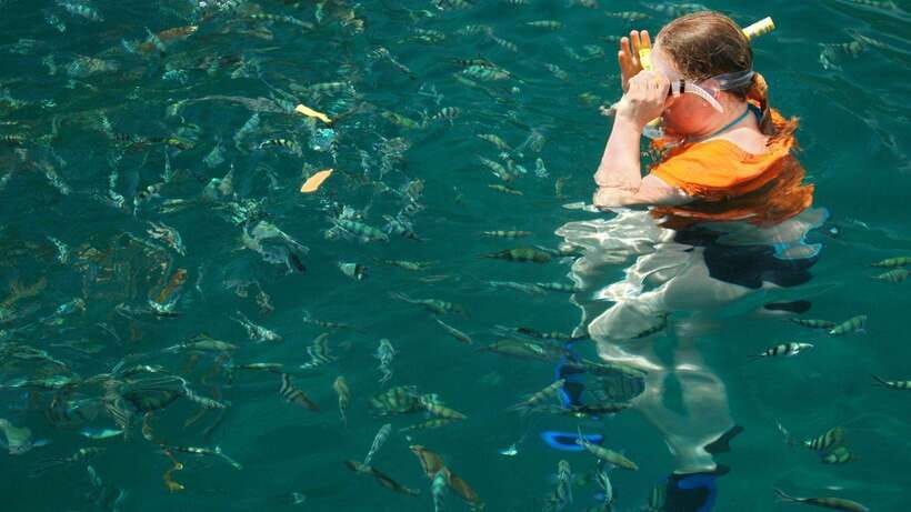 Kota Kinabalu: Snorkeling & Island Hopping Sapi & Manukan - Boat rides, safety, and changing plans