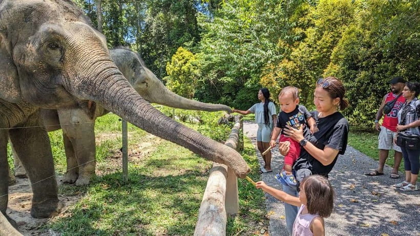 Kuala Lumpur: Batu Caves & Kuala Gandah Elephant Sanctuary - Key points to know before booking