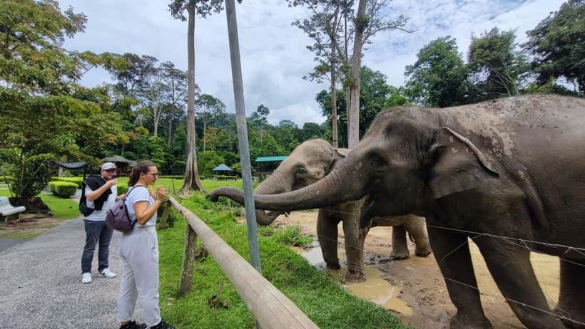 Kuala Lumpur: Batu Caves & Kuala Gandah Elephant Sanctuary - Deerland Park adds animals, but not much time
