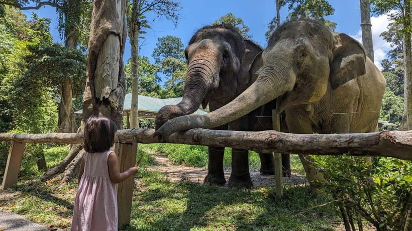 Kuala Lumpur: Batu Caves & Kuala Gandah Elephant Sanctuary - The ride matters on a seven-hour outing