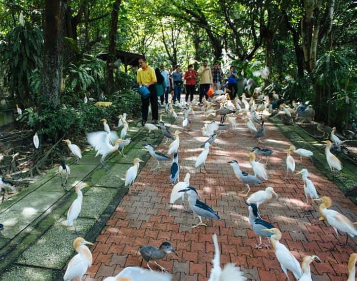 Kuala Lumpur: Bird Park, Butterfly & Garden Private Tour - Why the Bird Park is the main event