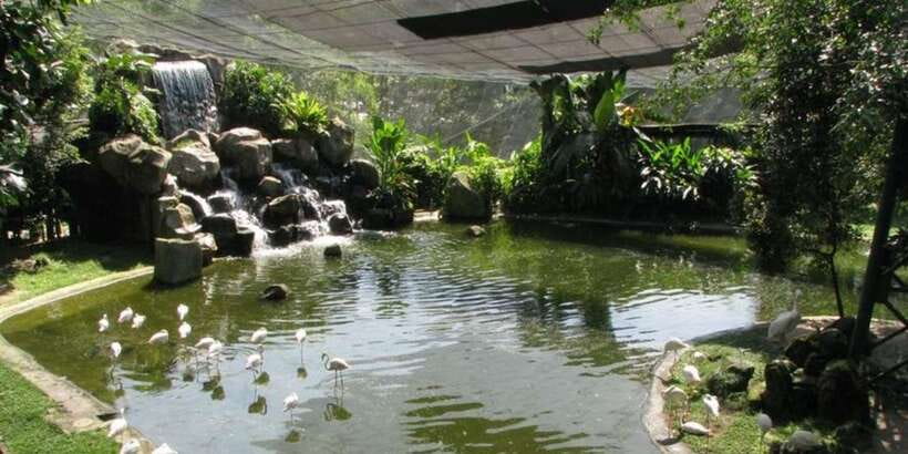 Kuala Lumpur: Bird Park, Butterfly & Garden Private Tour - Driver or guide: know what service you are buying