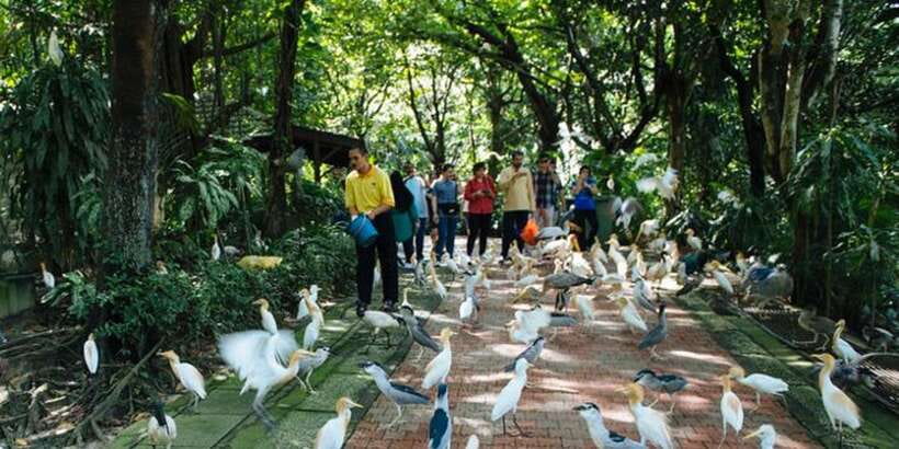 Kuala Lumpur: Bird Park, Butterfly & Garden Private Tour - Should you book it?