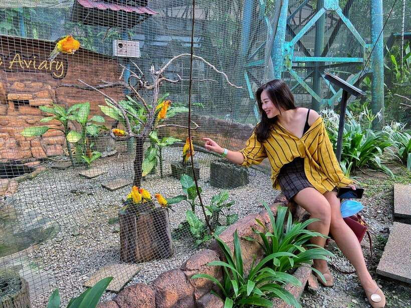 Kuala Lumpur: Bird Park Day Ticket & 1-Way Transfer - Price and value at $30