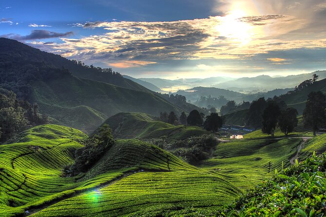 Kuala Lumpur: Cameron Highlands & Batu Caves Private Day Tour - Why this long day works