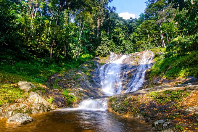 Kuala Lumpur: Cameron Highlands & Batu Caves Private Day Tour - Cactus Valley and a different side of the hills
