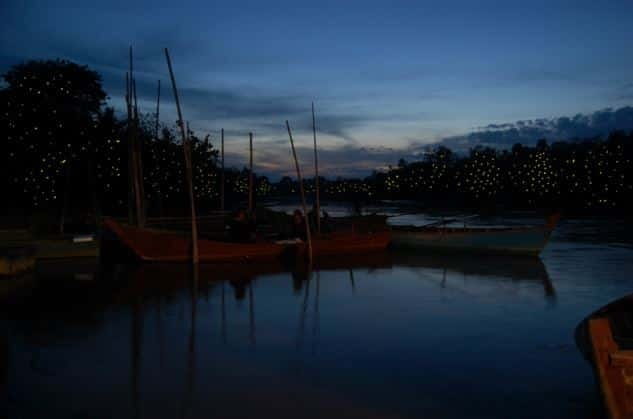 Kuala Lumpur: Fireflies & Blue Tears Tour with Seafood Meal - Melawati Hill and the silver leaf monkeys