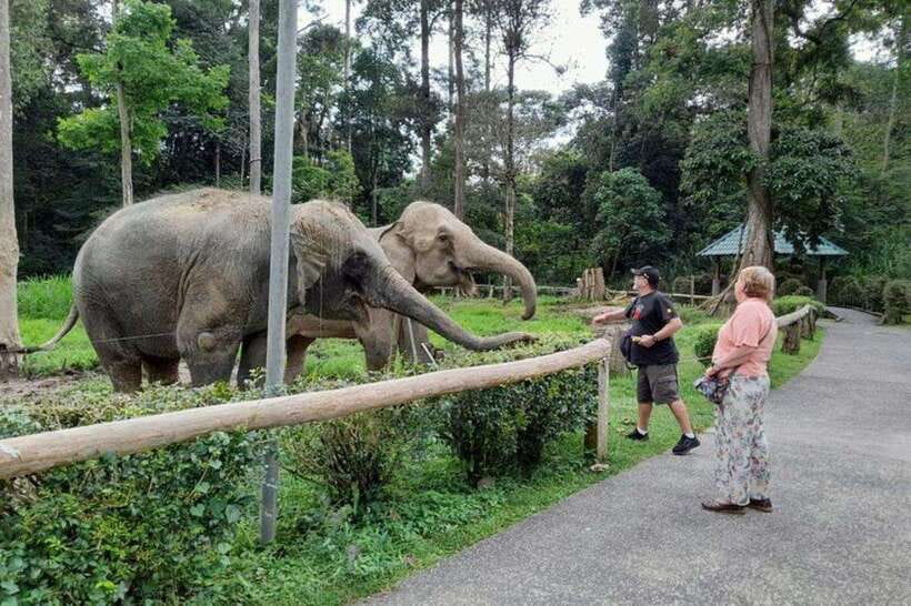 Kuala Lumpur: Kuala Gandah and Batu Caves Private Trip - Starting at Batu Caves and its 272 steps