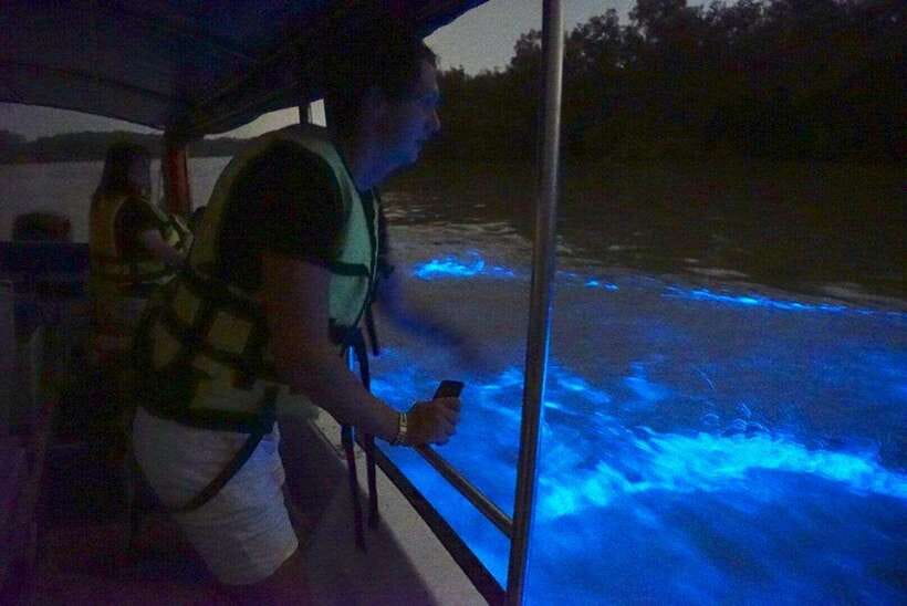 Kuala Lumpur: Kuala Selangor Fireflies and Blue Tears Tour - Feeding silvered leaf monkeys and macaques