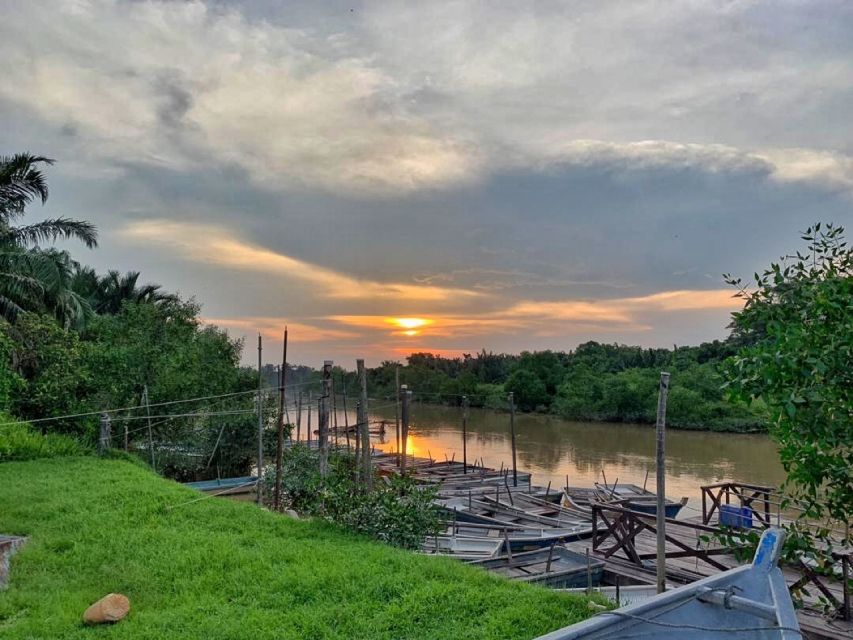 Kuala Lumpur: Kuala Selangor Fireflies and Blue Tears Tour - Fireflies along the Selangor river