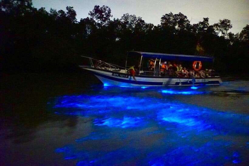 Kuala Lumpur: Kuala Selangor Fireflies and Blue Tears Tour - What the guides add to the day