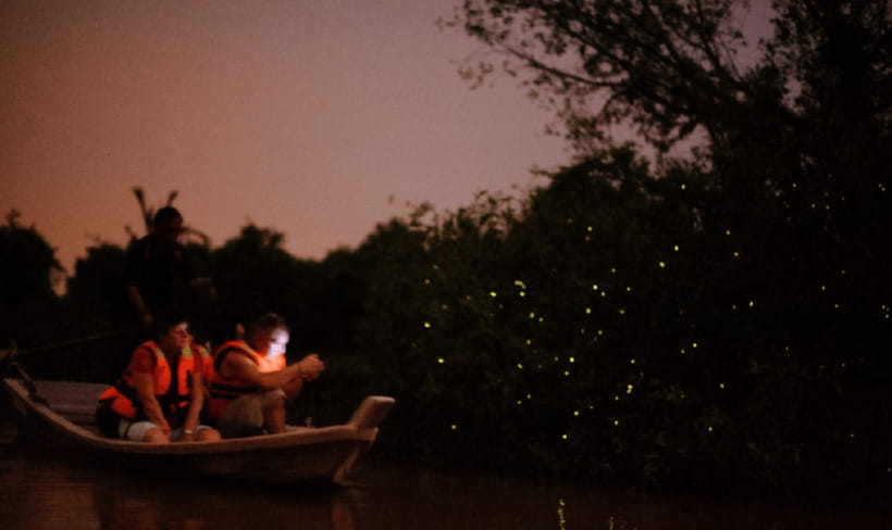 Kuala Lumpur: Kuala Selangor Firefly Tour and Dinner - Practical details that matter