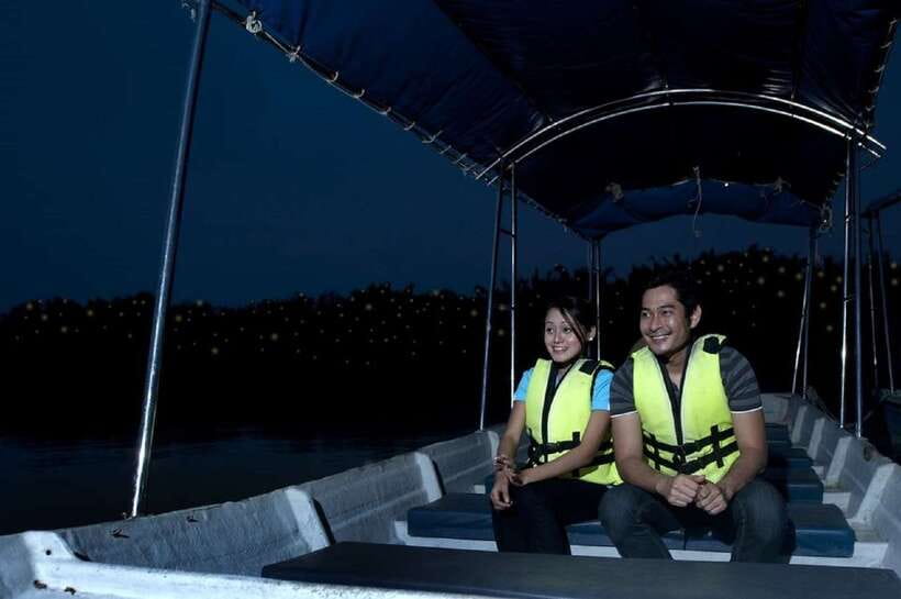 Kuala Lumpur: Kuala Selangor Firefly Tour and Dinner - Leaving Kuala Lumpur at 4:00 p.m.