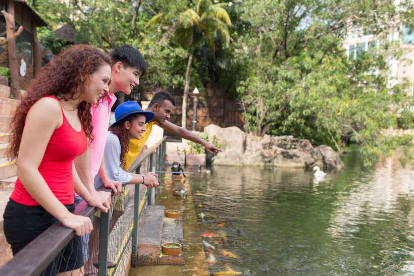 Kuala Lumpur: Sunway Lagoon Entry Ticket - Wildlife Park: useful variety, but keep expectations modest
