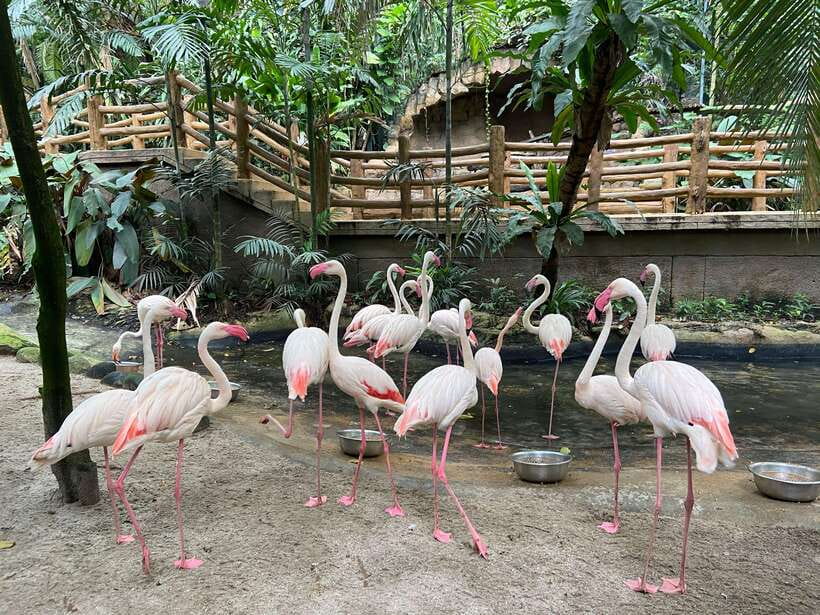 Kuala Lumpur: Sunway Lagoon Ticket & 1-Way Transfer - Water Park and Surf Beach