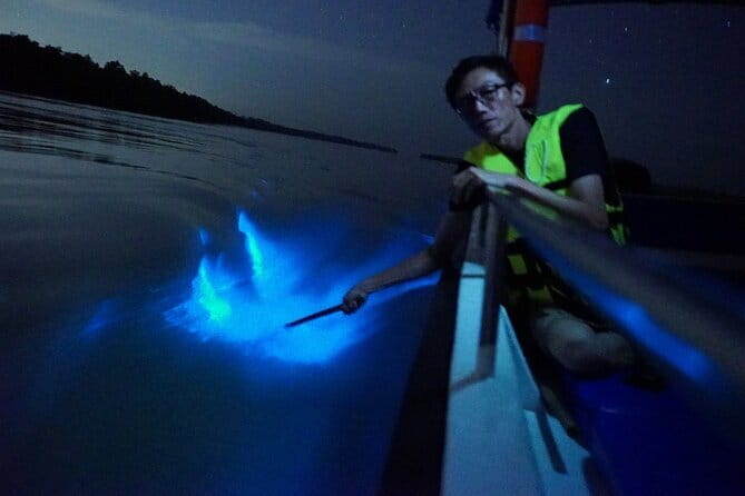 Kuala Selangor Fireflies and Blue Tears Tour with Dinner (SIC) - Bukit Melawati, monkeys, and an old fort