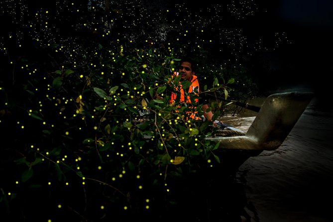 Kuala Selangor Fireflies - Batu Caves Temple- Malawati Hill DayTour With Dinner - Sri Shakti Temple’s carved details