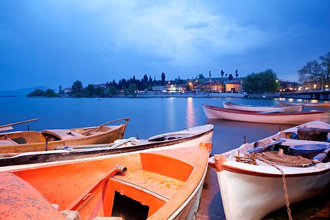 Kuala Selangor Tour from Kuala Lumpur with Fireflies Boat Ride and Seafood Dinner - Why the fireflies make this evening special