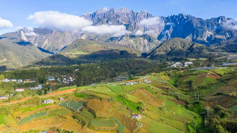 Kundasang: Day Tour with Desa Dairy Farm and Alpaca Club - Rumah Terbalik starts the morning with a joke