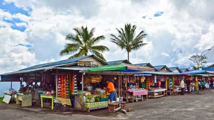 Kundasang: Day Tour with Desa Dairy Farm and Alpaca Club - Desa Dairy Farm is the day’s most distinctive stop