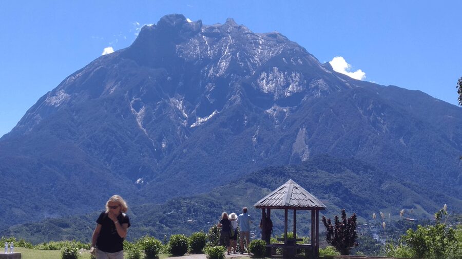 Kundasang: Day Tour with Desa Dairy Farm and Alpaca Club - Alpaca Club adds a gentle animal encounter