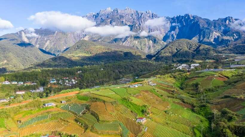 Kundasang: Day Tour with Desa Dairy Farm and Alpaca Club - The City Mosque closes the route with architecture