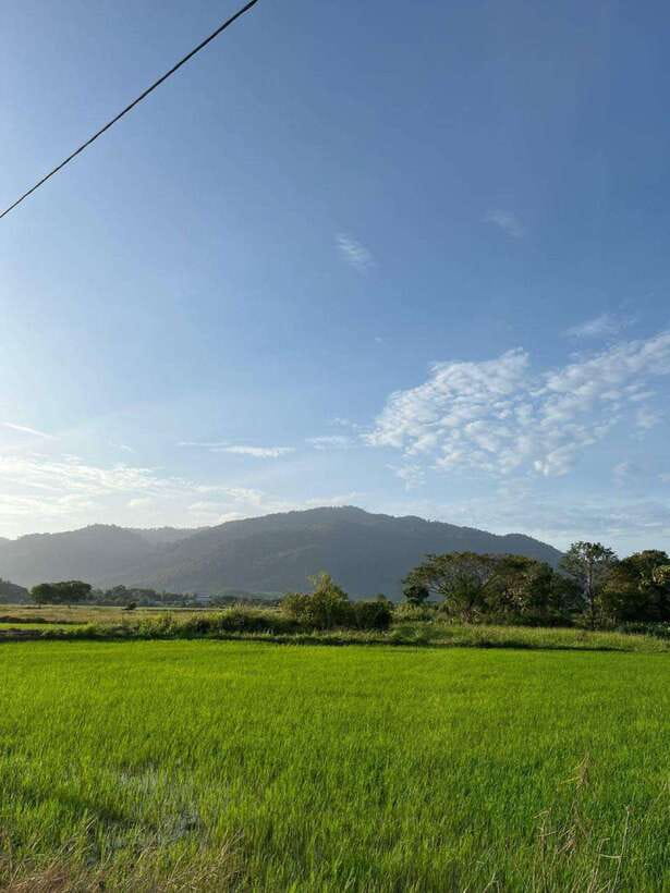 Langkawi: Countryside Bike Tour, Waterfall Swim & Dessert - Riding past rice fields and village homes
