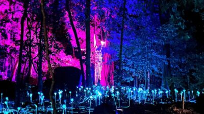 Dream Forest Langkawi Standard Admission Ticket