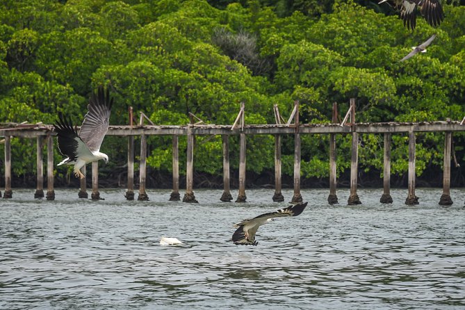 Langkawi Half Day Island Hoping Tour- Sharing basis - Boat comfort, timing, and physical effort