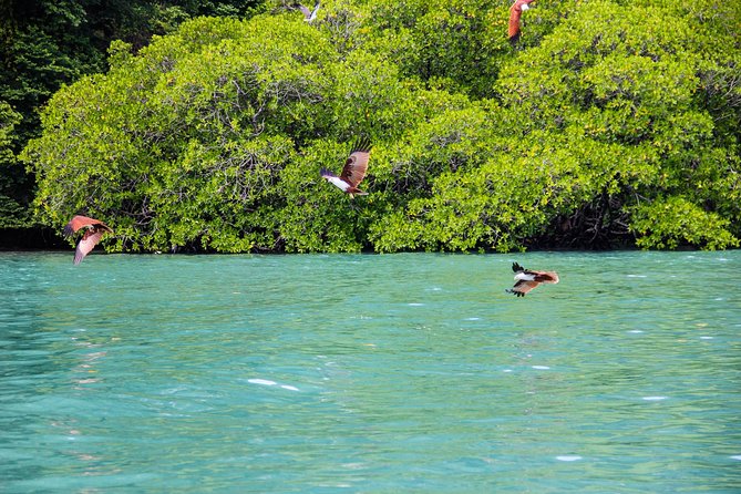 Langkawi Half Day Island Hoping Tour- Sharing basis - How to prepare for a better outing