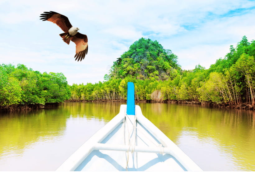 Langkawi: Half- or Full-Day Private Car Tour of Highlights - Who will get the most from this tour